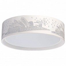 Накладной светильник MW-Light Ривз 674016001