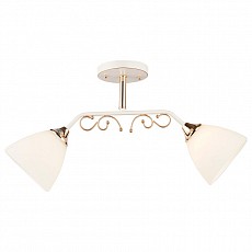 Накладной светильник Imex 3192 MD.3192-2-S WT+FGD