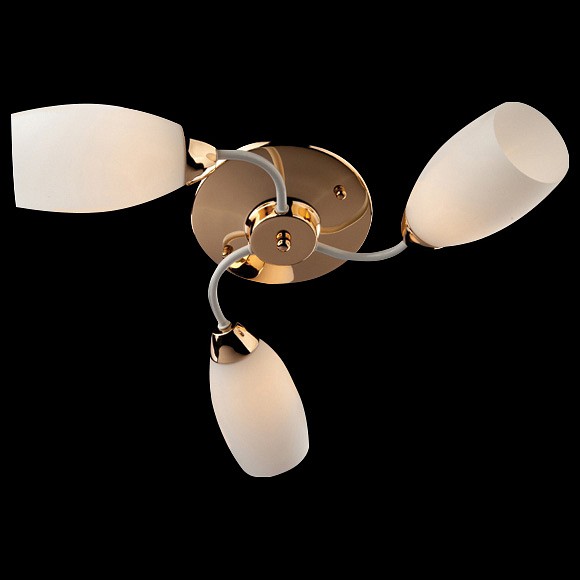 Потолочная люстра Eurosvet 30034 30034/3 золото/белый