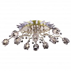 Потолочная люстра Arte Lamp Fanfan A3112PL-10GO