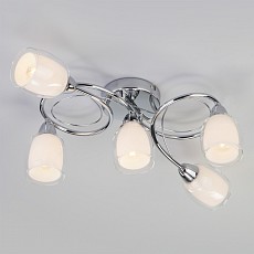 Потолочная люстра Eurosvet Potpourri a046139