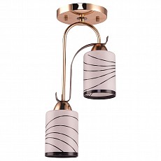 Светильник на штанге Escada Basic 20 192/2S