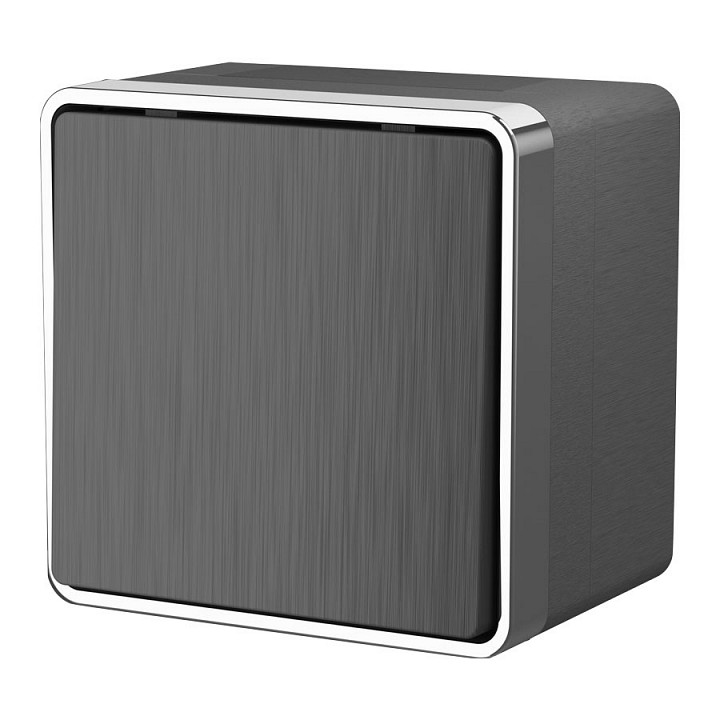 Выключатель одноклавишный влагозащищенный Werkel  WL15-01-02 (графит рифленый)