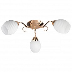 Потолочная люстра TopLight Kristin TL3520X-03FG