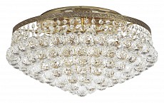 Потолочная люстра Arti Lampadari Castellana Castellana LE 1.2.46.501 G