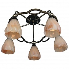 Потолочная люстра Omnilux OML-256 OML-25607-05