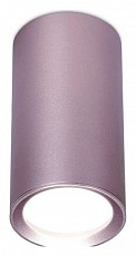 Накладной светильник Ambrella Light TN TN220