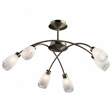 Люстра на штанге Odeon Light Lerta 1803/6