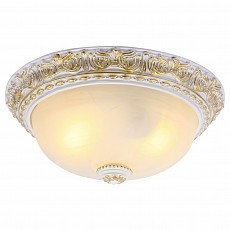 Накладной светильник Arte Lamp Torta A7121PL-2WG