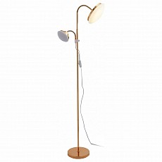 Торшер с подсветкой ST-Luce Pratico SLE120.205.02