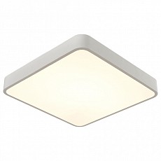 Накладной светильник Arte Lamp Scena A2663PL-1WH