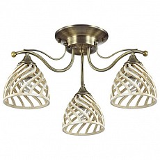 Потолочная люстра Odeon Light Aretta 3199/3C
