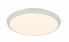 Накладной светильник Globo Aemon 32109S