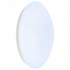 Накладной светильник SLV Lipsy 134061