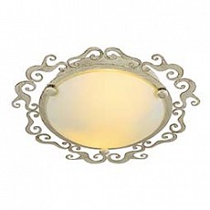 Накладной светильник Arte Lamp Riccioli A1060PL-2WG