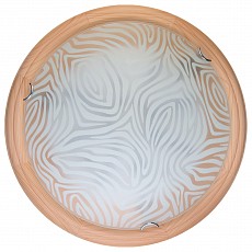 Накладной светильник TopLight Agatha TL9260Y-00PN