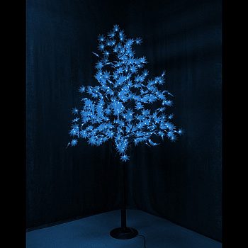 Клен световой (2.1 м) IMT-001 531-513