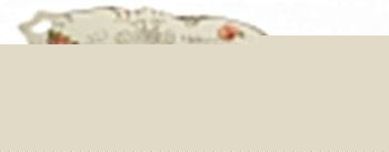 Блюдо декоративное (43х25х4 см) Корейская Роза 126-532