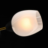 Потолочная люстра MW-Light Олимпия 51 638018608