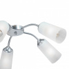 Потолочная люстра Vitaluce V3758 V3758-9/5PL