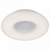 Накладной светильник ST-Luce Albo SL902.502.01D