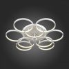 Потолочная люстра ST-Luce Erto SL904.512.09
