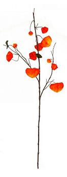 Ветка (80 см) Физалис 58012200