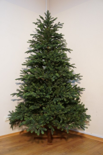 Ель новогодняя [2.3 м] Раскидистая 74270