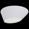 Накладной светильник ST-Luce Odierno SL956.552.01