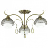 Потолочная люстра Lumion Cecillia 3667/3C