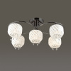 Люстра на штанге Lumion Grandina 3078/5C