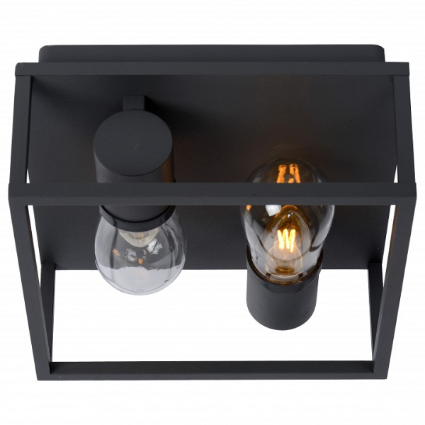 Накладной светильник Lucide Carlyn 27100/02/30