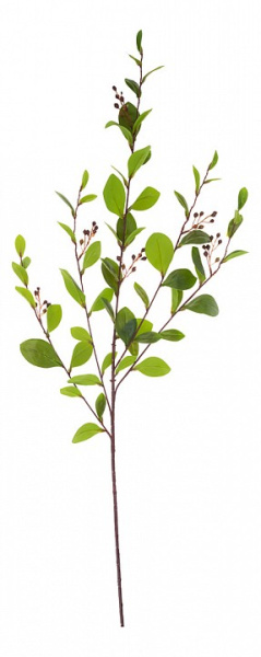 Ветка (114 см) 283-604