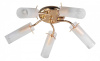 Потолочная люстра TopLight Brittany TL7130X-05FG