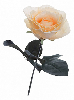 Набор из 36 цветков Роза 8J-1211S0004