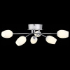 Потолочная люстра ST-Luce Luna SL478.102.06