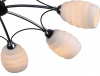 Потолочная люстра Lussole Chinle LSP-0154