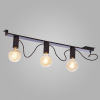 Накладной светильник TK Lighting Mossa 2843 Mossa