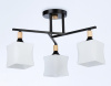 Люстра на штанге Ambrella Light TR TR9493
