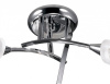 Потолочная люстра Odeon Light Imola 2623/3C