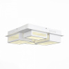 Накладной светильник ST-Luce Mecano SL934.502.04