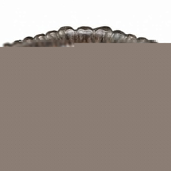 Накладной светильник Kichler Tournai KL/TOURNAI/F