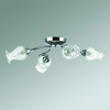 Потолочная люстра Lumion Frizza 3074/4C