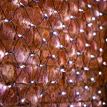 Сеть световая [2x1.5 м] LED-SNL 215-021