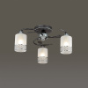 Потолочная люстра Lumion Mirabella 3022/3C