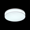Накладной светильник ST-Luce Fella SL417.502.01