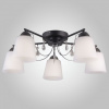 Потолочная люстра Eurosvet Campana 70094/5 черный