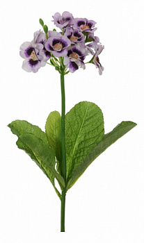 Цветок (40 см) Примула 58018300