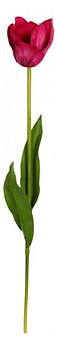 Цветок (68 см) Тюльпан 58013100