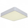 Накладной светильник ST-Luce Presente SL955.502.01D